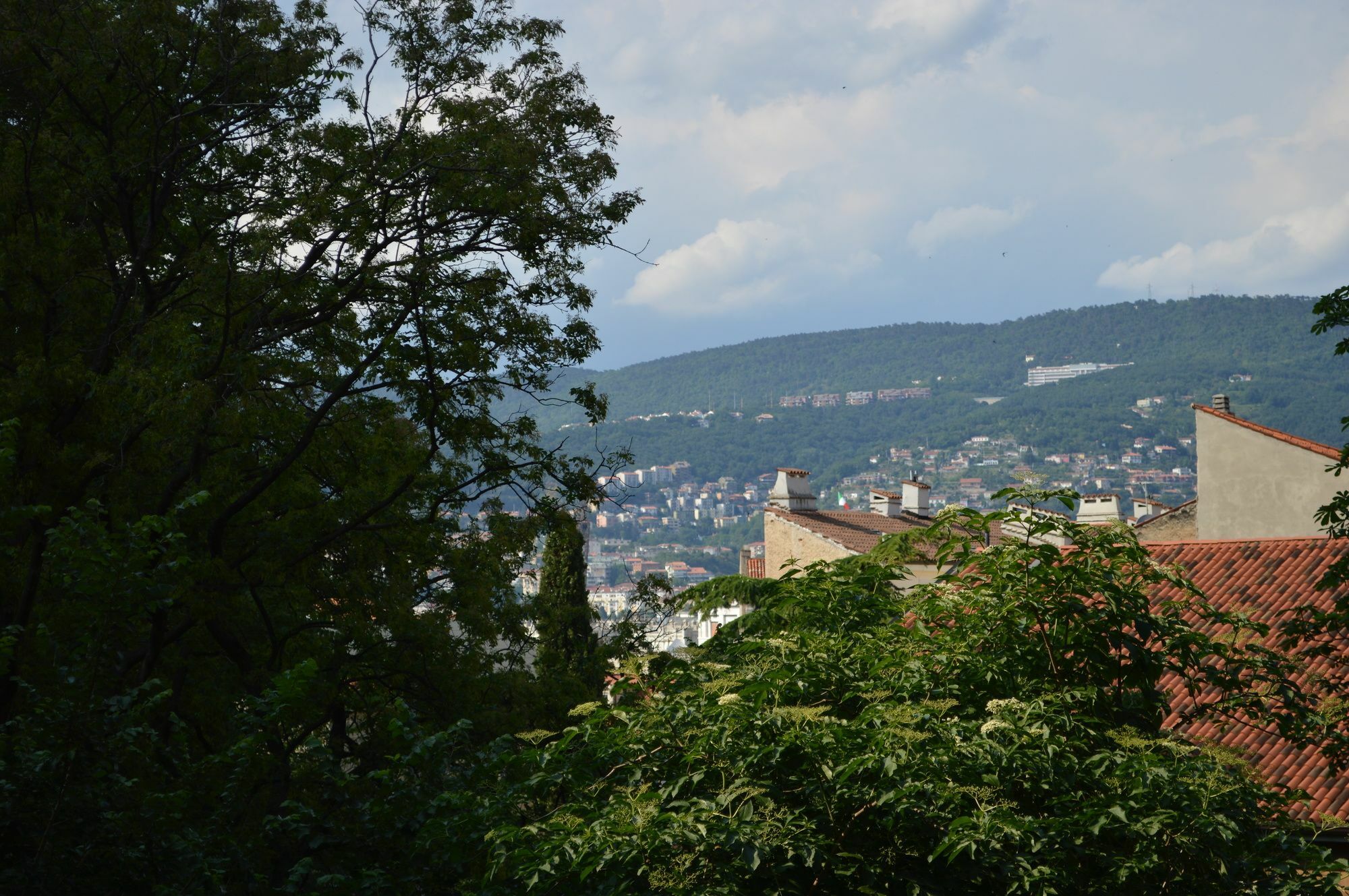 Casa Vacanze All'Angolo Trieste Luaran gambar